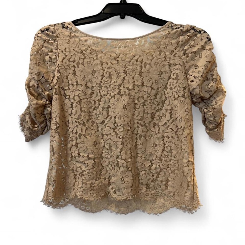 Daniel Cremieux Beige Lace Blouse